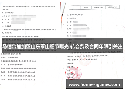 马德鲁加加盟山东泰山细节曝光 转会费及合同年限引关注